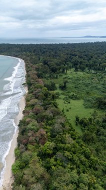 Kosta Rika 'daki Cahuita Ulusal Parkı' nın insansız hava aracı görüntüsü. Yüksek kalite fotoğraf