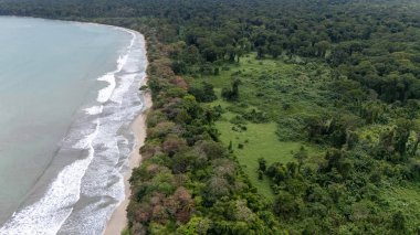 Kosta Rika 'daki Cahuita Ulusal Parkı' nın insansız hava aracı görüntüsü. Yüksek kalite fotoğraf