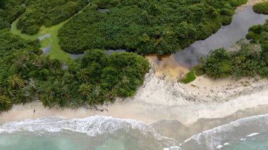 Kosta Rika 'daki Cahuita Ulusal Parkı' nın insansız hava aracı görüntüsü. Yüksek kalite fotoğraf