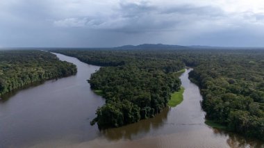 Tortuguero Kosta Rika insansız hava aracı görüntüsü. Yüksek kalite fotoğraf