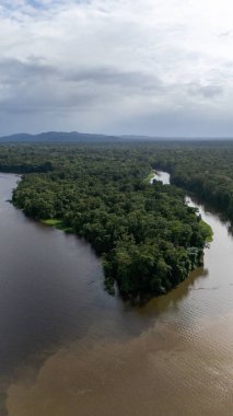 Tortuguero Kosta Rika insansız hava aracı görüntüsü. Yüksek kalite fotoğraf