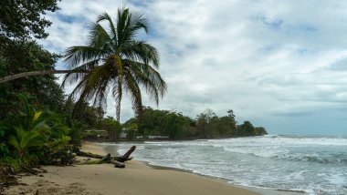 Cahuita - Kosta Rika 'nın Karayip sahillerinde güzel plajları ve yağmur ormanları olan Ulusal Park - Cennet plajlarında dinlenme. Yüksek kalite fotoğraf