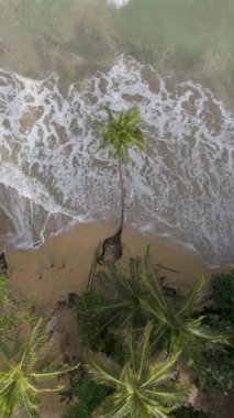 Kosta Rika, Cahuta 'da bir plajda çekilmiş güzel bir insansız hava aracı videosu. Yüksek kalite 4k görüntü