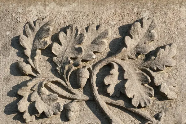 Meşe dalının yaprakları ve meşe palamudu ile kabartması