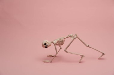 Pembe arka planda poz veren oyuncak bir insan iskeleti.