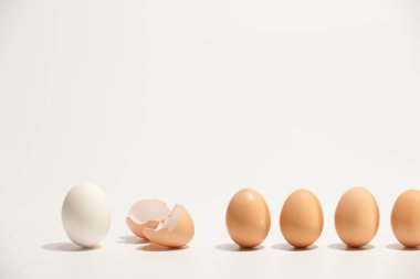 The chain of eggs and eggshell on the white background clipart