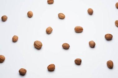 Beyaz arka planda ceviz deseni