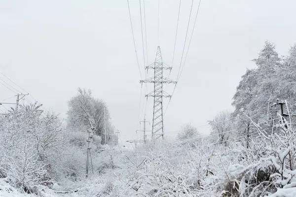 Endüstriyel kış manzarası. Ağaçlar ve yüksek gerilimli elektrik hattı yoğun kar yağışı sonrasında karla kaplıdır..