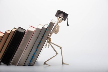 a funny toy skeleton props up a stack of textbooks clipart