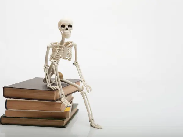 Beyaz arka planda kitap yığınının üzerinde oturan oyuncak bir insan iskeleti.