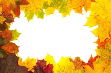 Beyaz arkaplanda düşmüş akçaağaç yaprakları olan renkli çerçeve