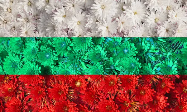 Bulgaristan 'ın ulusal bayrağının dokusu. Çiçek düzenlemesi
