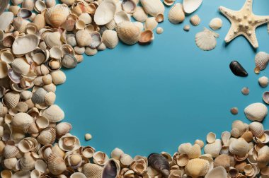 A frame with seashells and starfish on the light blue background clipart