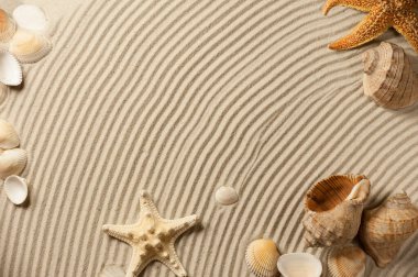 The composition of sea shells and starfish on a wavy textured surface of a sandy beach clipart