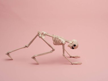 Pembe arka planda poz veren oyuncak bir insan iskeleti.