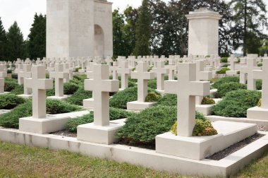 Savaşta öldürülen Polonyalı askerlerin anısına