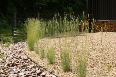 Modern bahçe tasarımı