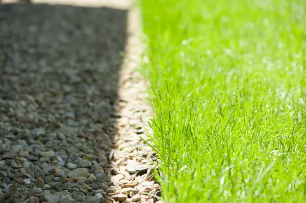 Çimenli bir çimlerin ve çakıllı bir yolun kenarında