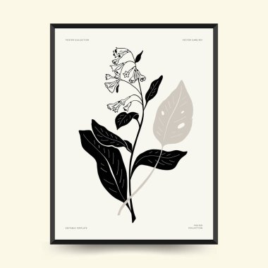 Abstract floral posters template. Modern Botanical trendy black style. Vintage flowers. Ink wall  art.