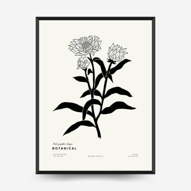 Abstract floral posters template. Modern Botanical trendy black style. Vintage flowers. Ink wall  art.