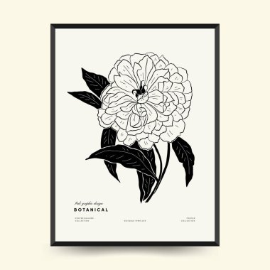 Abstract floral posters template. Modern Botanical trendy black style. Vintage flowers. Ink wall  art.