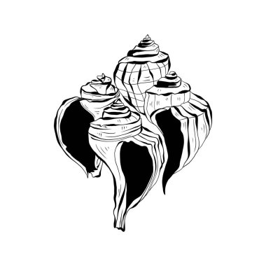 Okyanus ve Deniz, Botanik illüstrasyonu. Siyah mürekkep, çizgi, karalama tarzı. 