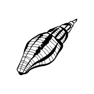 Okyanus ve Deniz, Botanik illüstrasyonu. Siyah mürekkep, çizgi, karalama tarzı. 