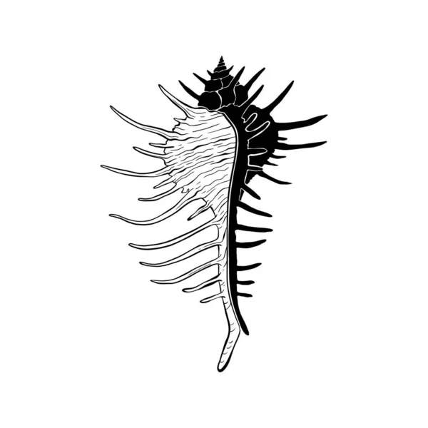 Ocean Sea Botanica Illustration Black Ink Line Doodle Style — Stock Vector