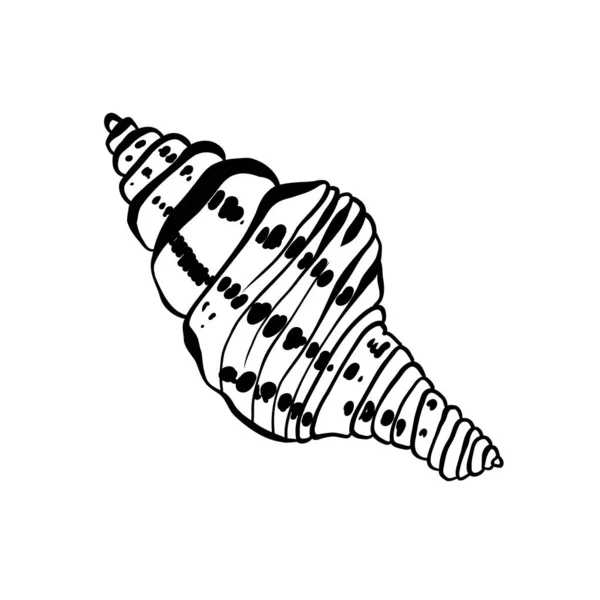 Ocean Sea Illustration Botanica Encre Noire Ligne Style Doodle — Image vectorielle