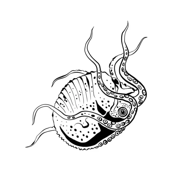 Ocean Morze Ilustracja Botanica Czarny Tusz Linia Styl Doodle — Wektor stockowy