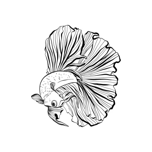 Океан Море Иллюстрация Ботаники Черные Чернила Чернила Каракули — стоковый вектор