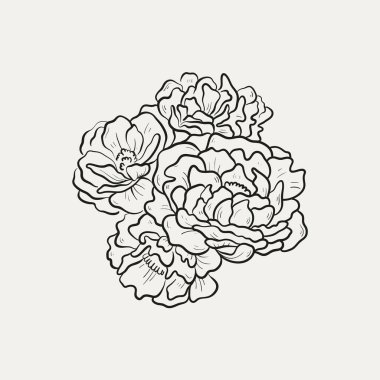 Botanik çizimi. Minimum bitki logosu, botanik çizim çizimi, çayır yeşilliği, yaprak ve çiçek açan soyut çizim elemanları koleksiyonu, köy dalı. Moda küçük dövme tasarımı, çiçek elementleri vektör illüstrasyonu