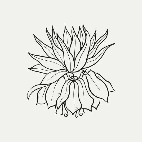 Ботанический Рисунок Минимальный Логотип Растения Ботанический Графический Эскиз Луговая Зелень — стоковый вектор