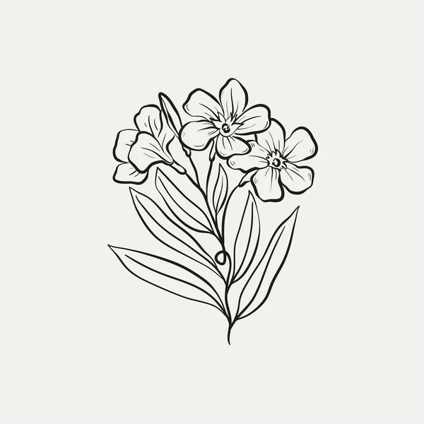Gambaran Botani Logo Tanaman Minimal Gambar Sketsa Botani Padang Rumput - Stok Vektor