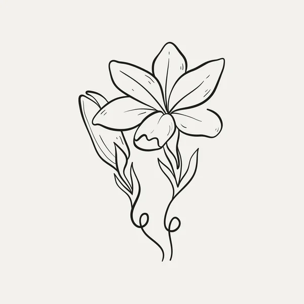 Botanická Kresba Minimální Logo Rostliny Botanická Grafická Kresba Náčrtků Luční — Stockový vektor