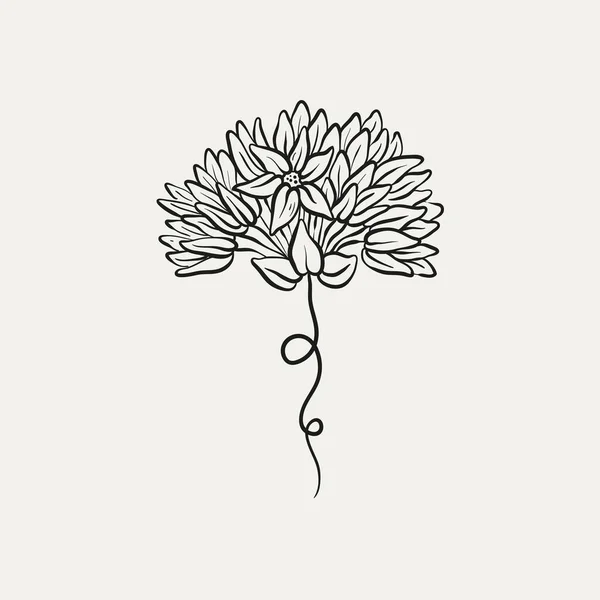 Disegno Botanico Logo Vegetale Minimale Disegno Grafico Botanico Schizzo Prato — Vettoriale Stock