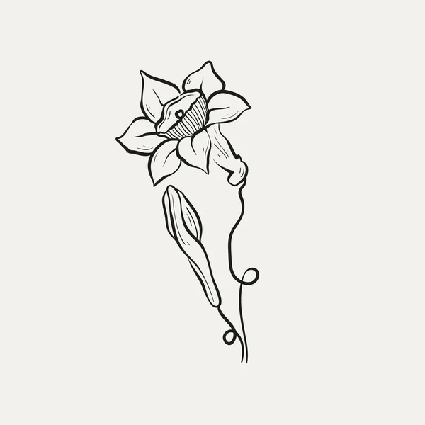 Botanická Kresba Minimální Logo Rostliny Botanická Grafická Kresba Náčrtků Luční — Stockový vektor