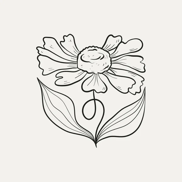 Disegno Botanico Logo Vegetale Minimale Disegno Grafico Botanico Schizzo Prato — Vettoriale Stock