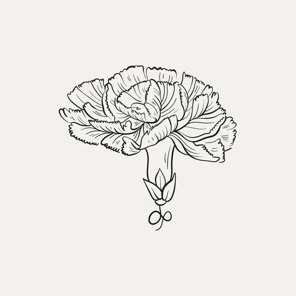 Βοτανικό Σχέδιο Ελάχιστο Λογότυπο Φυτών Βοτανικό Γραφικό Σχέδιο Σκίτσο Λιβάδι — Διανυσματικό Αρχείο