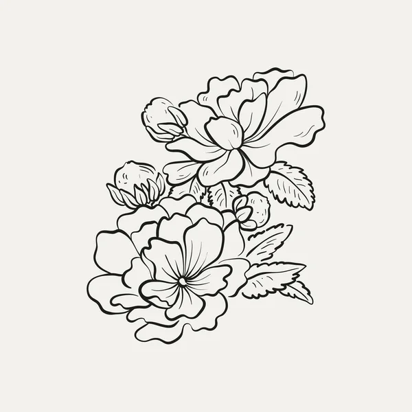 植物学绘图 采购产品最小的植物标志 植物图形素描 草甸绿色 叶子和开花的花卉抽象素描元素集合 乡村分枝 时髦的小纹身设计 花卉元素矢量图解 — 图库矢量图片
