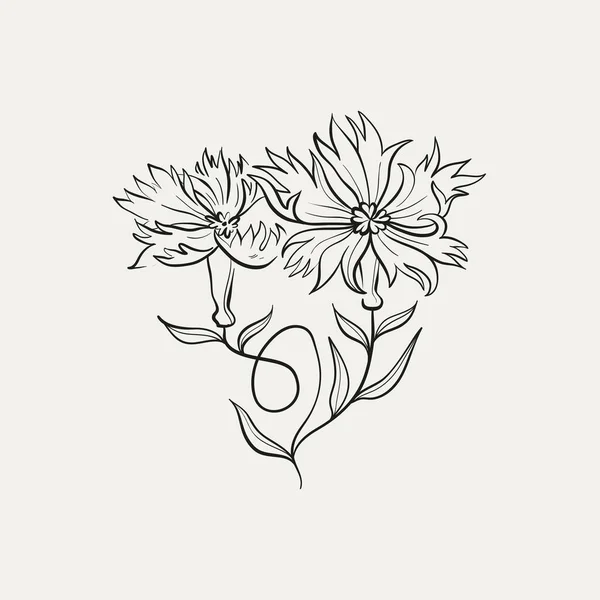 Dessin Botanique Logo Minimal Plante Dessin Graphique Botanique Verdure Des — Image vectorielle