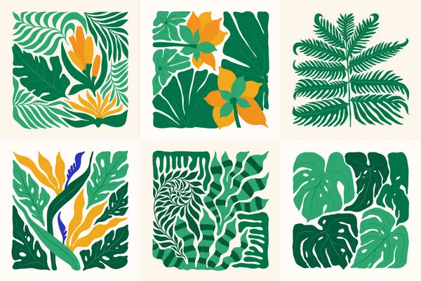 Elementos Abstractos Florales Composición Botánica Tropical Moderno Estilo Minimalista Matisse — Vector de stock
