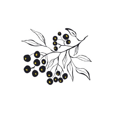 Modern Sanat İllüstrasyonu. Matisse Soyut Set, Estetik Modern, Boho Dekor, Minimalist, İllüstrasyon, Vector, Poster, Kartpostal. Estetik minimalist tasarım. Vektör illüstrasyonları.