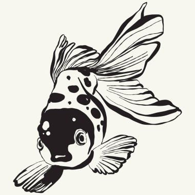 Okyanus ve Deniz, Botanik illüstrasyonu. Siyah mürekkep, çizgi, karalama tarzı. 