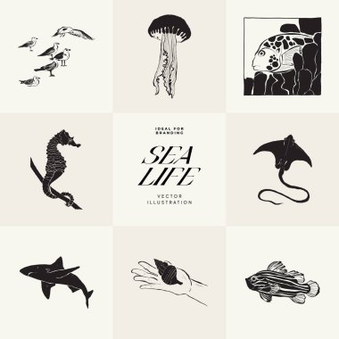 Okyanus ve Deniz, Botanik illüstrasyonu. Siyah mürekkep, çizgi, karalama tarzı. 