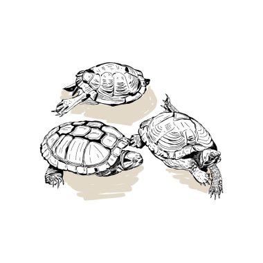 Modern Sanat Estetik Etkilendirici Yaşam Tarzı Çizimi. Matisse Soyut Set, Estetik Modern, Kadın, Boho Dekor, Minimalist, Çizim, Poster, Kartpostal. Estetik minimalist tasarım.