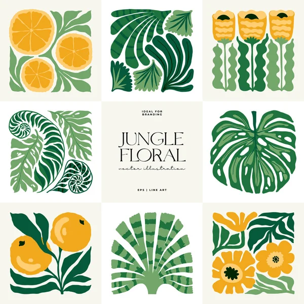 Eléments Abstraits Floraux Composition Botanique Tropicale Moderne Mode Matisse Style Graphismes Vectoriels