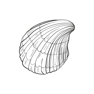 Çeşitli şekillerde gerçekçi yumuşakça kabukların elle çizilmiş, oymalı çizimleri. Deniz temalı tasarımlar için mükemmel. Deniz yıldızı da dahil olmak üzere deniz şakayığı arkaplanındaki siyah beyaz çizimler. Denizaltı temalı projeler için ideal