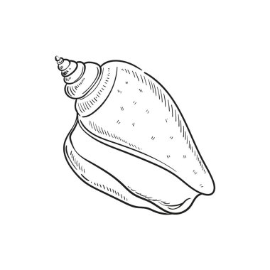 Çeşitli şekillerde gerçekçi yumuşakça kabukların elle çizilmiş, oymalı çizimleri. Deniz temalı tasarımlar için mükemmel. Deniz yıldızı da dahil olmak üzere deniz şakayığı arkaplanındaki siyah beyaz çizimler. Denizaltı temalı projeler için ideal