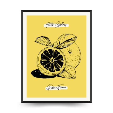Soyut meyve posterleri şablonu. Modern trend Matisse minimal tarzı. Egzotik Sağlıklı Yemek. Duvar kağıdı, duvar dekoru, baskı, kartpostal, kapak, şablon, pankart için el çizimi tasarımı.